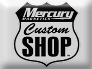 We are an authorized Mercury Repair Center